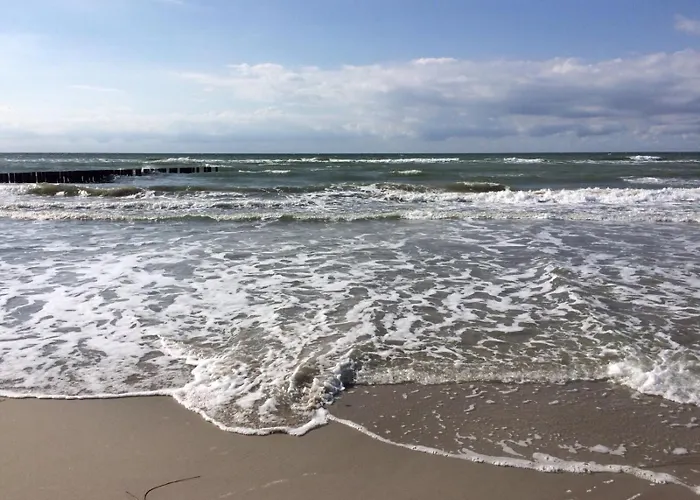 Semesterbostad Haus Zeesenboot Lee Hiddensee